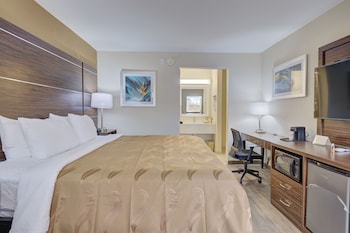 Standard Room, 1 King Bed, Non Smoking