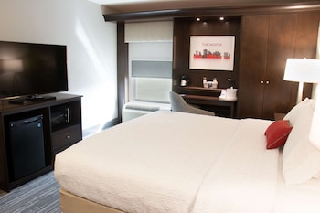 Room, 1 King Bed, Accessible