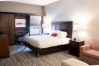 Room, 1 King Bed, Accessible, Non Smoking