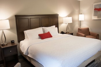 Room, 1 King Bed, Accessible