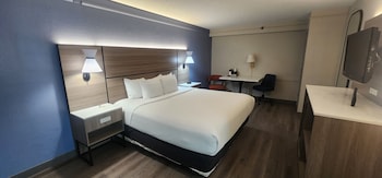 Room, 1 King Bed, Non Smoking