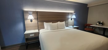 Room, 1 King Bed, Non Smoking