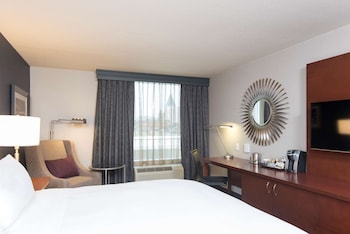Room, 1 King Bed, Accessible, Bathtub