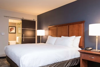 Room, 1 King Bed, Accessible, Bathtub