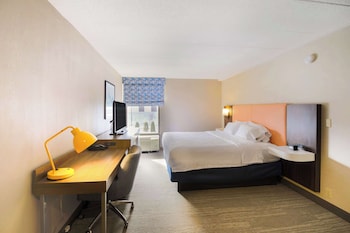 Suite, 1 King Bed