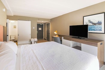 Suite, 1 King Bed