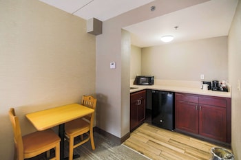 Suite, 1 King Bed