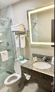 Room, 1 Queen Bed, Accessible, Non Smoking (Roll-in Shower)