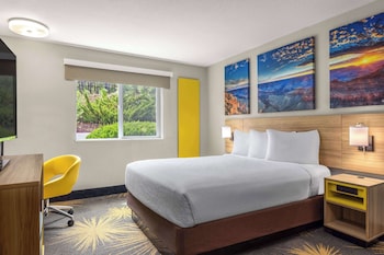 Room, 1 Queen Bed, Accessible, Non Smoking (Roll-in Shower)