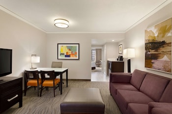 Suite, 1 King Bed with Sofa bed