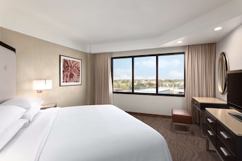 Suite, 1 King Bed with Sofa bed