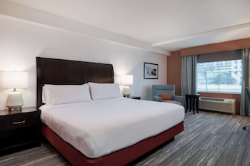 Room, Accessible, Non Smoking (Roll-in Shower)