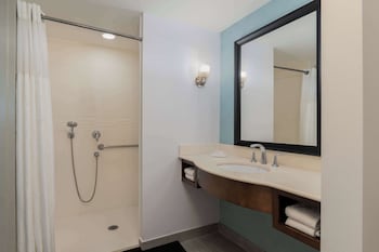 Room, Accessible, Non Smoking (Roll-in Shower)
