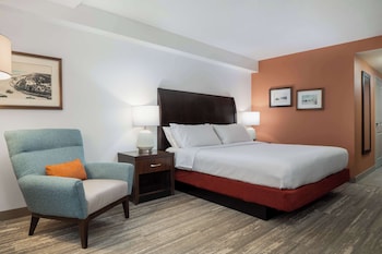 Room, Accessible, Non Smoking (Roll-in Shower)