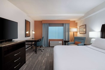 Room, Accessible, Non Smoking (Roll-in Shower)