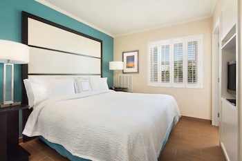 Studio Suite, 1 King Bed with Sofa bed (Mobility Accessible, Roll-In Shower)