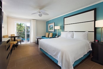 Studio Suite, 1 King Bed with Sofa bed (Mobility Accessible, Roll-In Shower)