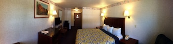 Room, 1 King Bed