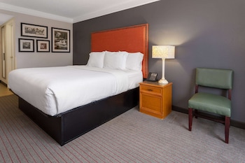 Suite, 1 King Bed, Non Smoking