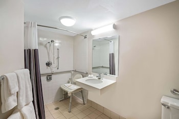 Deluxe Room, 1 Queen Bed, Accessible, Non Smoking (Mobility,Roll-In Shower, Pet-Friendly)