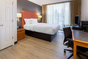 Deluxe Room, 1 Queen Bed, Accessible, Non Smoking (Mobility,Roll-In Shower, Pet-Friendly)