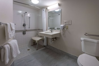 Deluxe Room, 1 Queen Bed, Accessible, Non Smoking (Mobility,Roll-In Shower, Pet-Friendly)