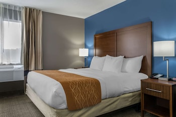 Standard Room, 1 King Bed, Non Smoking