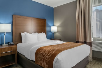 Standard Room, 1 King Bed, Non Smoking
