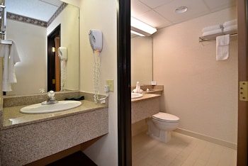 Room, 1 King Bed, Non Smoking, Jetted Tub