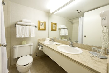 Deluxe Double Room, Refrigerator