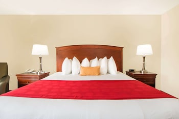 Room, 1 King Bed, Non Smoking