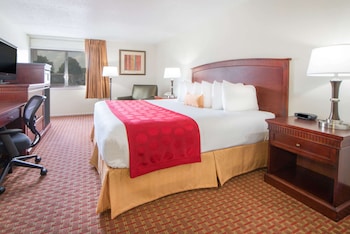 Room, 1 King Bed, Non Smoking