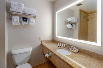 Premium Room, 1 King Bed
