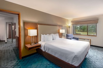 Suite, 1 King Bed