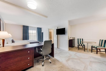 Suite, 1 King Bed with Sofa bed, Non Smoking