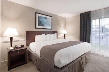 Suite, 1 King Bed with Sofa bed, Accessible, Non Smoking