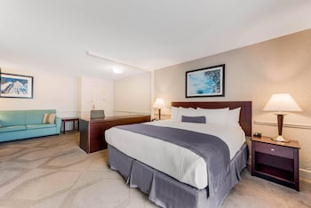Suite, 1 King Bed with Sofa bed, Non Smoking