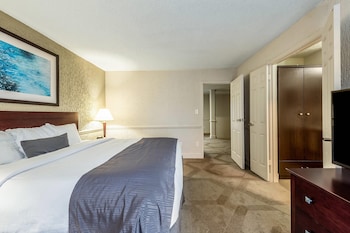 Suite, 1 King Bed with Sofa bed, Non Smoking (Living Room)