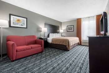 Suite, 1 King Bed with Sofa bed, Non Smoking