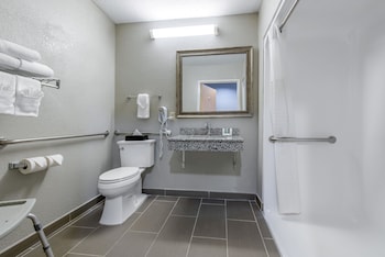 Room, 1 King Bed, Accessible, Non Smoking