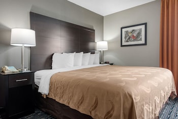 Suite, 1 King Bed with Sofa bed, Non Smoking