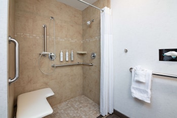 Room, 1 King Bed, Accessible (Roll-in Shower)