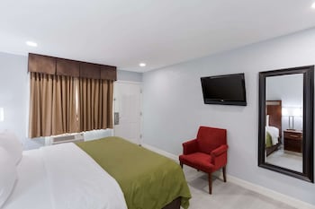 Room, 1 King Bed, Accessible, Non Smoking