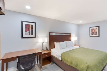 Standard Room, 1 King Bed, Non Smoking