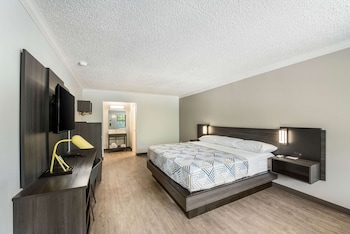 Deluxe Room, 1 King Bed, Non Smoking, Refrigerator & Microwave