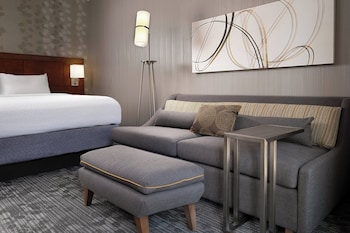 Standard Room, 1 King Bed with Sofa bed