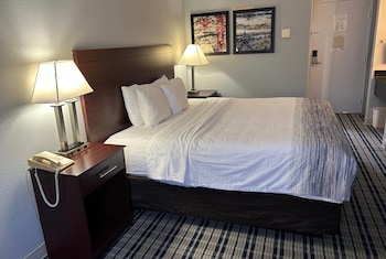 Room, 1 King Bed, Mobility Accessible, Non Smoking (Roll-in Shower)