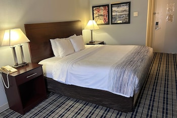 Suite, 1 King Bed with Sofa bed, Non Smoking