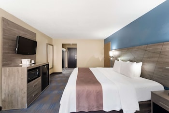 Suite, 1 King Bed with Sofa bed, Non Smoking