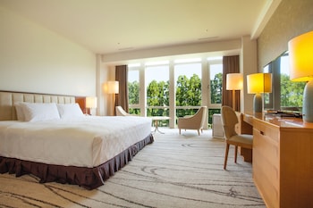 Room, 1 King Bed